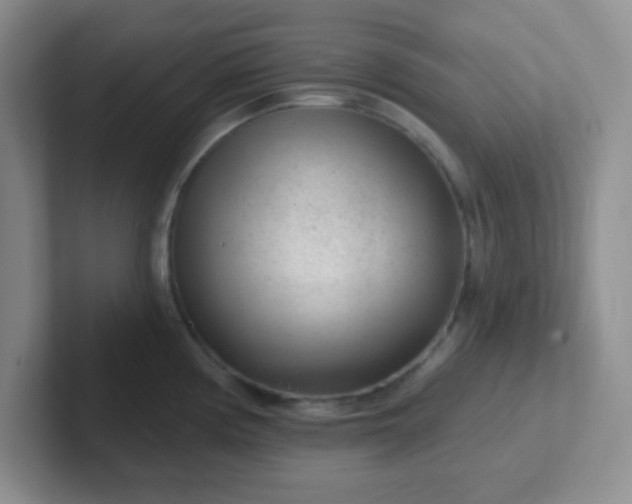 X0000102311194200808081559