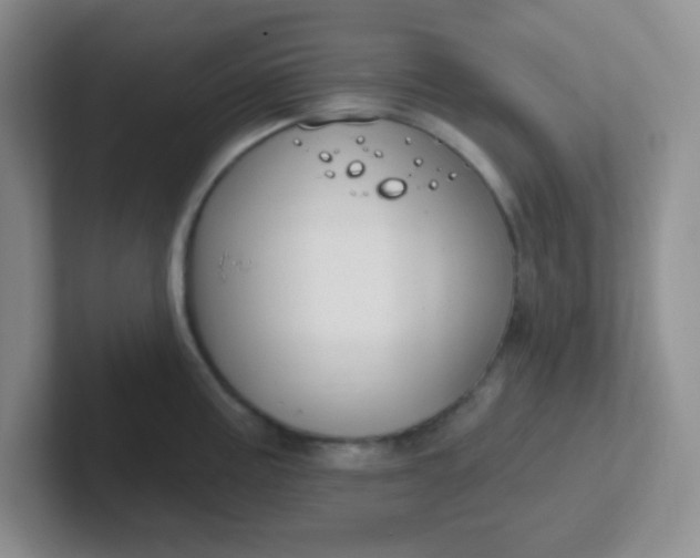 X0000102311195200808081559