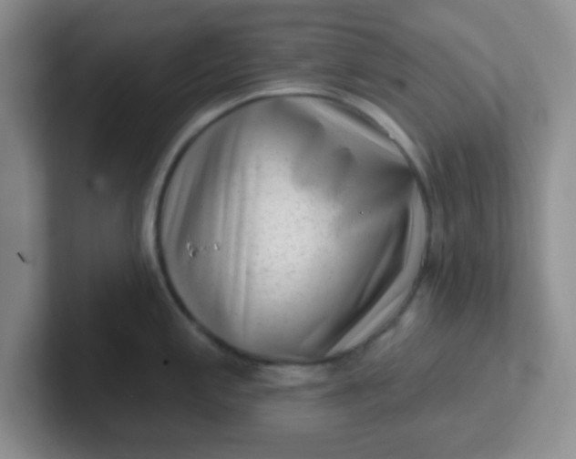 X0000102311197200808081559