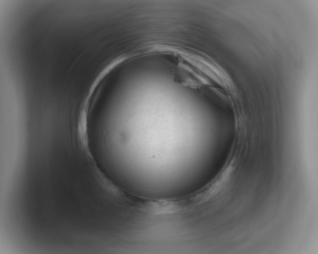 X0000102311198200808081559