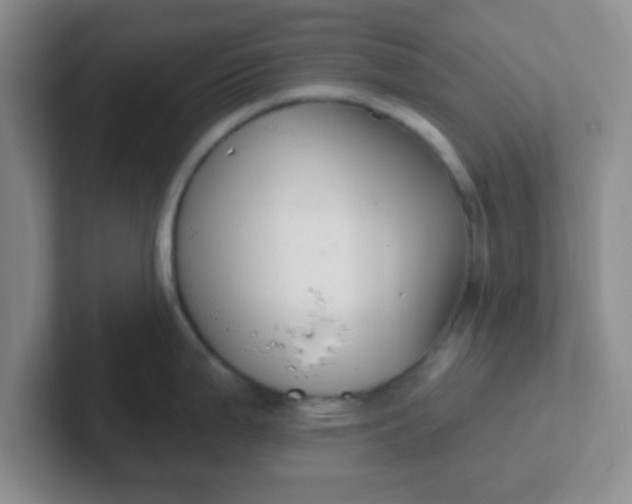 X0000102311199200808081559