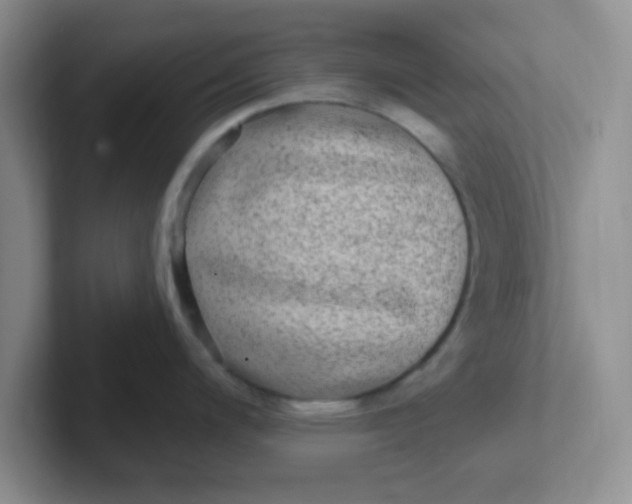 X0000102311200200808081559