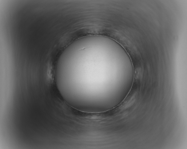 X0000102311202200808081558