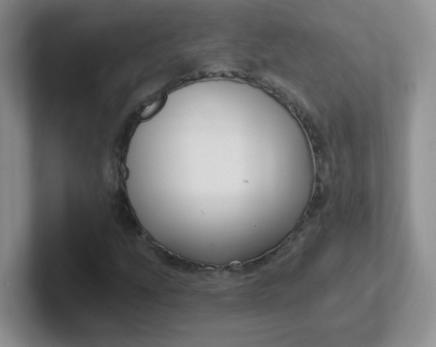 X0000102311207200808081558