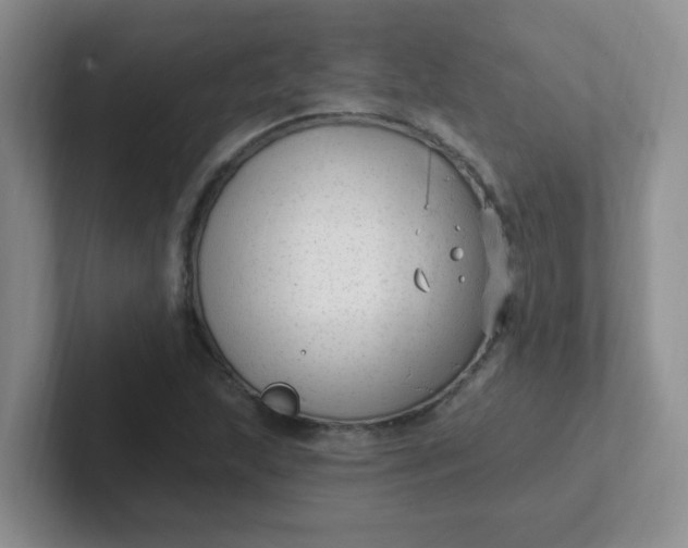 X0000102311215200808081558