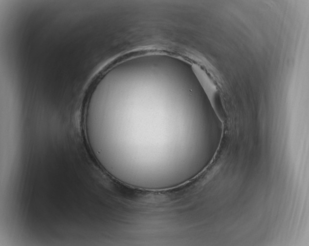 X0000102311216200808081558