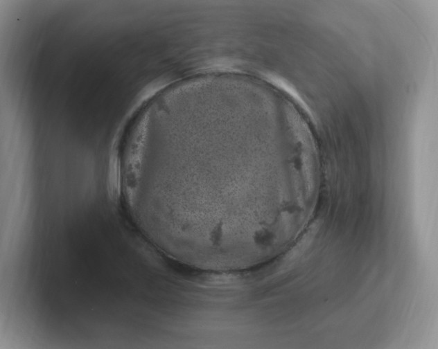 X0000102311219200808081558