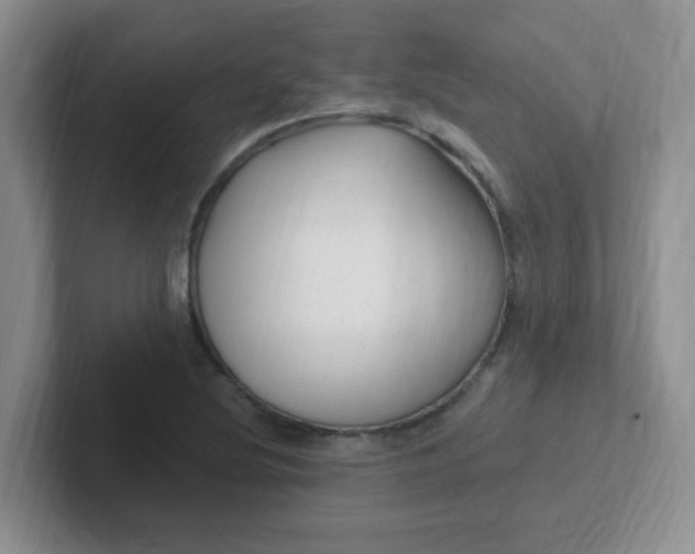 X0000102311220200808081558