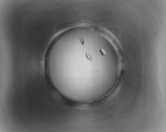 X0000102311222200808081558