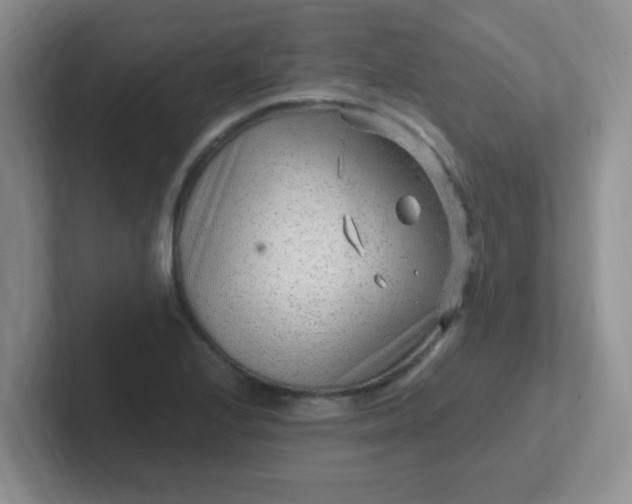 X0000102311224200808081558