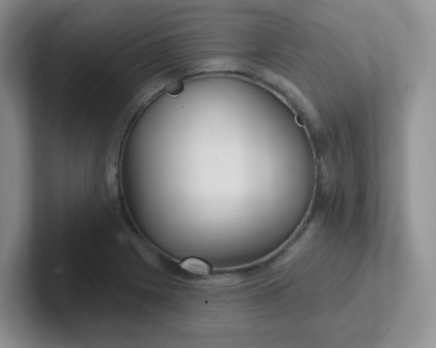 X0000102311225200808081558