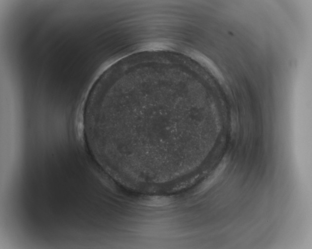 X0000102311226200808081558