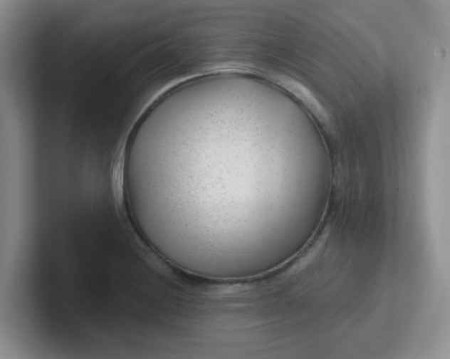 X0000102311228200808081558