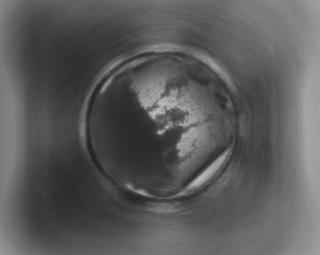 X0000102311229200808081558