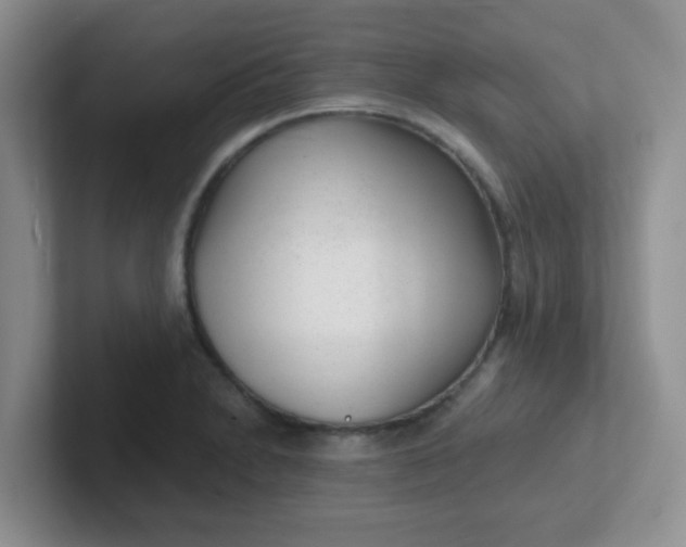 X0000102311230200808081558