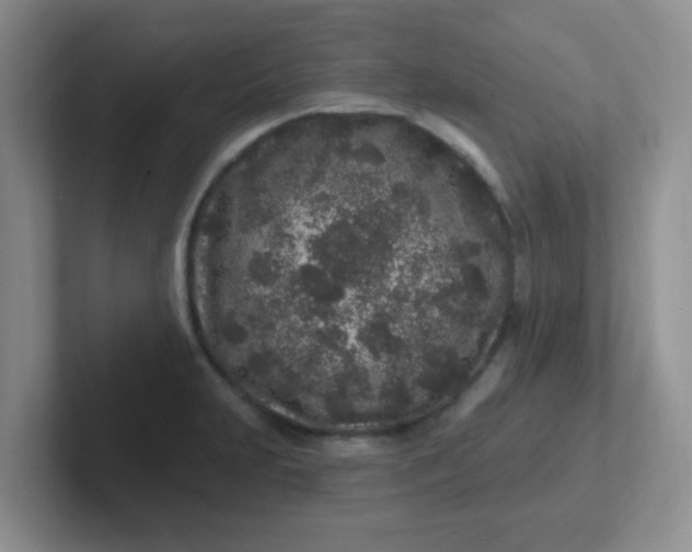 X0000102311231200808081558