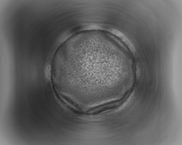 X0000102311233200808081558