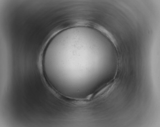 X0000102311235200808081558