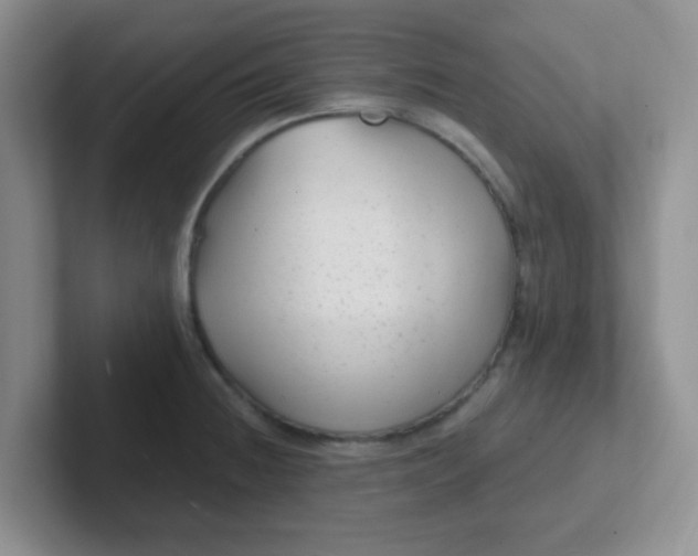 X0000102311236200808081558