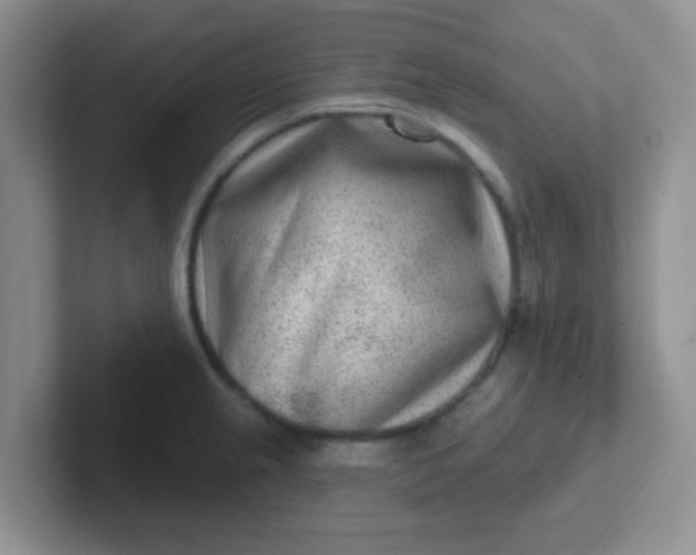 X0000102311237200808081558