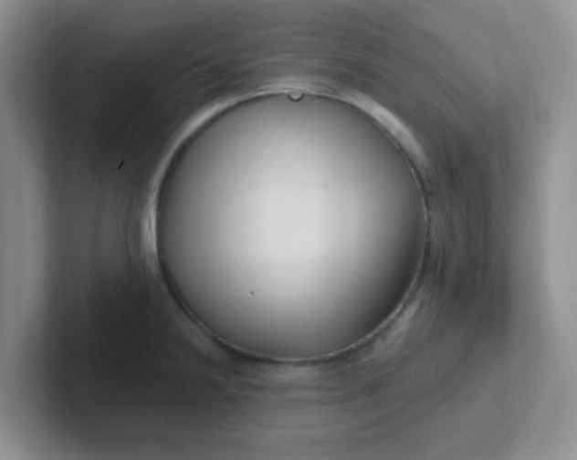 X0000102311238200808081558