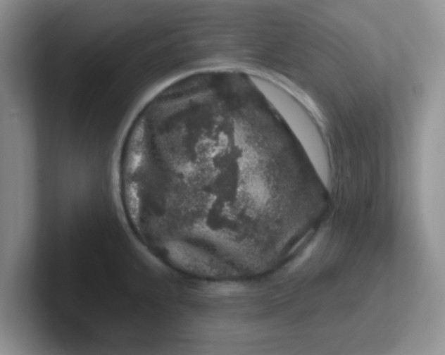 X0000102311239200808081558