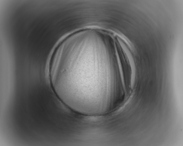 X0000102311240200808081558