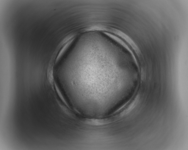 X0000102311241200808081558