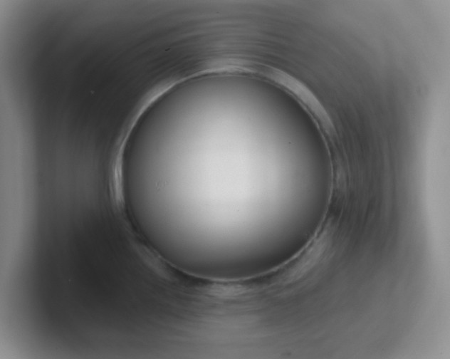 X0000102311242200808081558