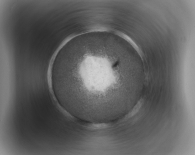 X0000102311243200808081558