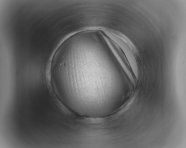 X0000102311244200808081559