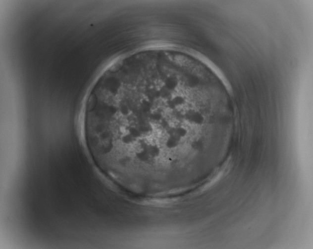 X0000102311245200808081559