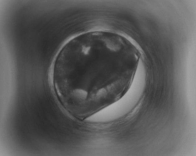 X0000102311246200808081559