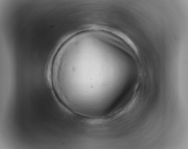 X0000102311247200808081559