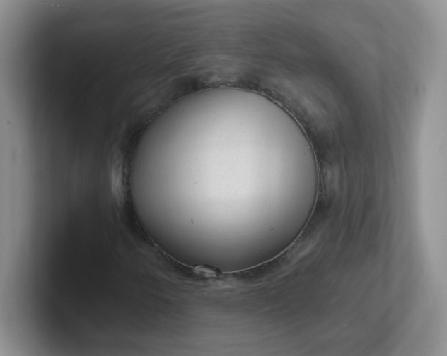 X0000102311250200808081558