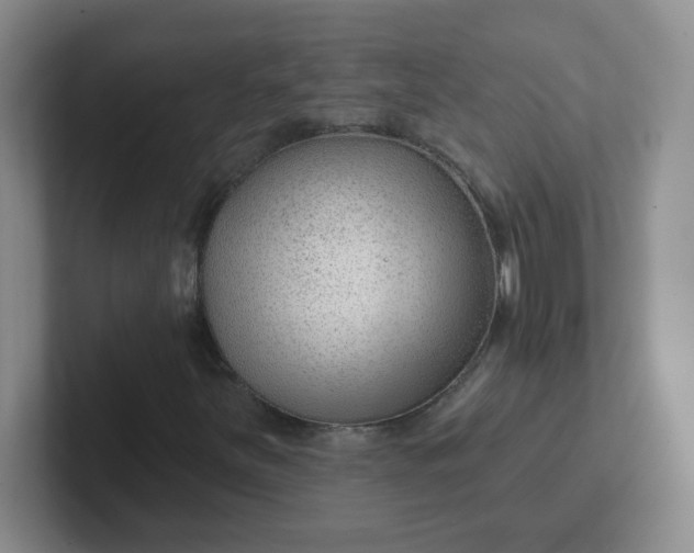 X0000102311251200808081558