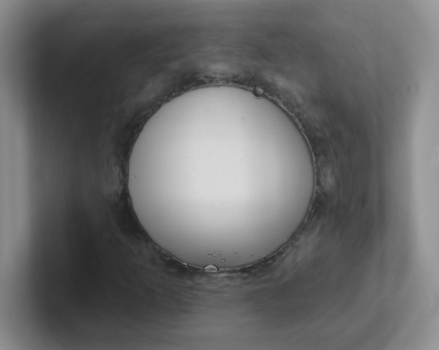 X0000102311253200808081558