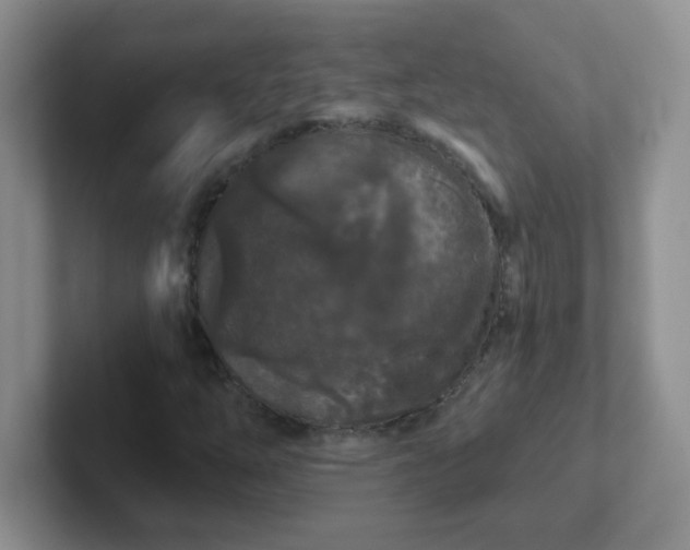 X0000102311254200808081558