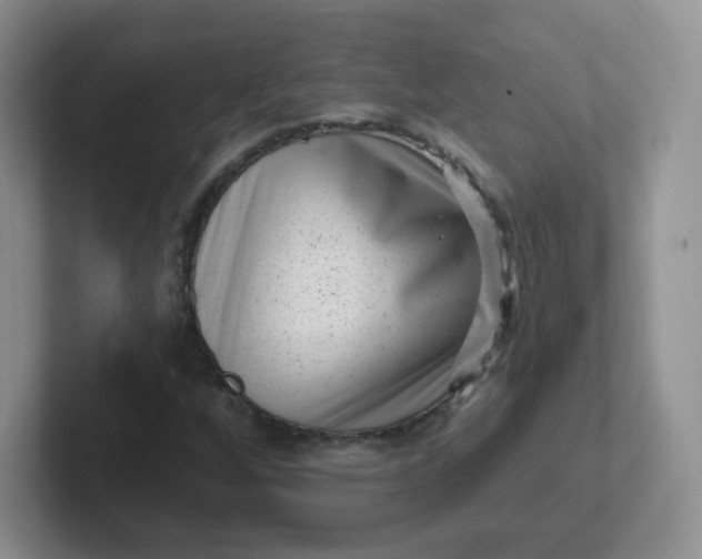 X0000102311256200808081558