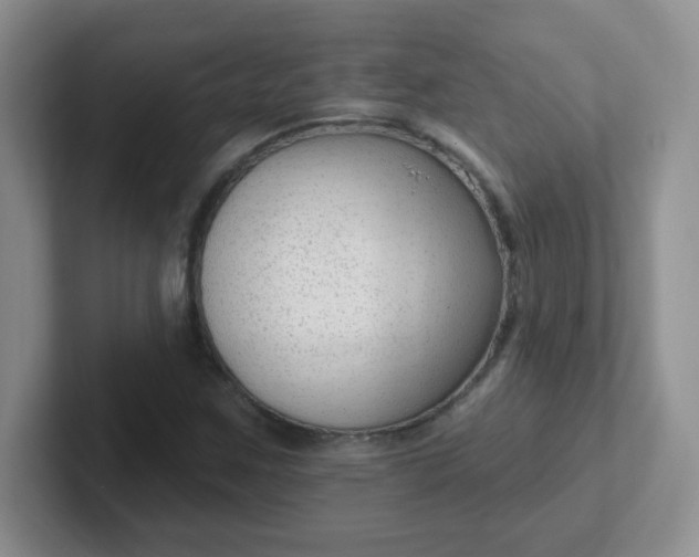 X0000102311259200808081558