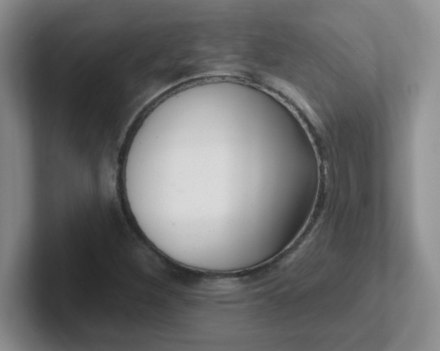 X0000102311260200808081558