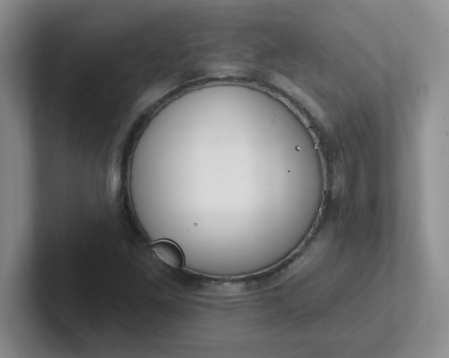 X0000102311261200808081558