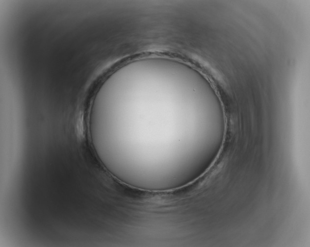 X0000102311262200808081558