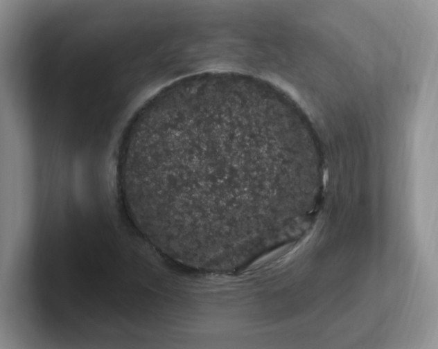 X0000102311263200808081558