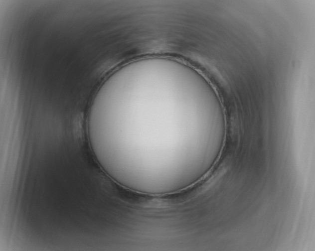 X0000102311265200808081558