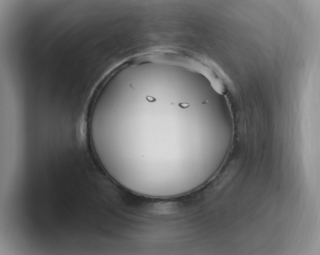 X0000102311268200808081558