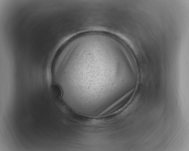 X0000102311271200808081558