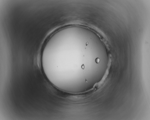 X0000102311272200808081558