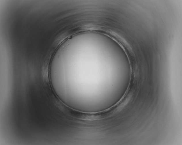 X0000102311273200808081558