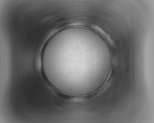 X0000102311274200808081558